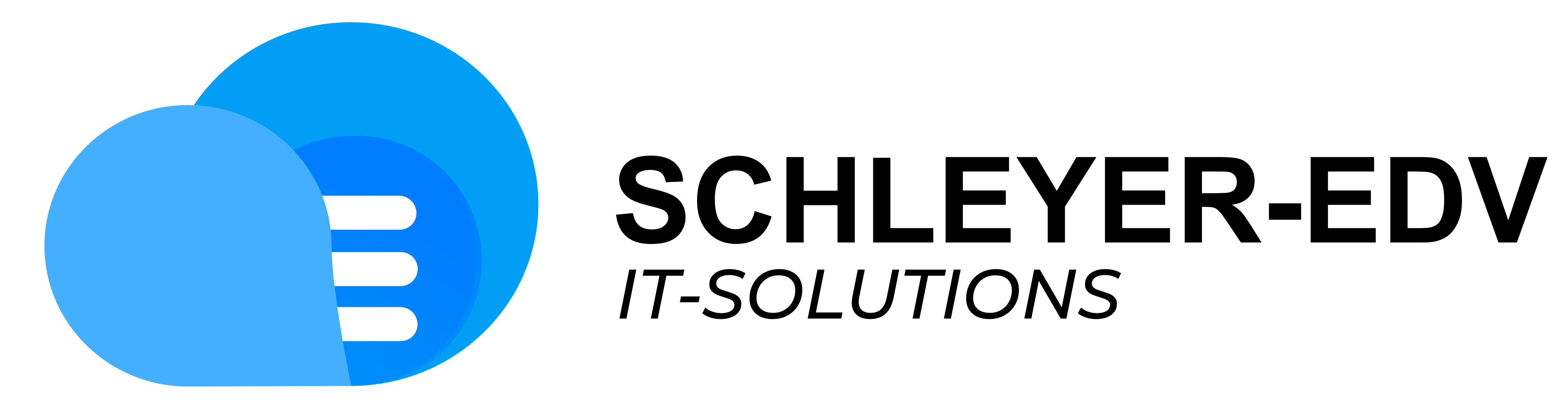 Schleyer-EDV Partner